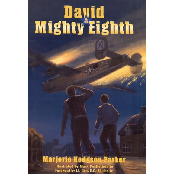 Pre-Owned David & the Mighty Eighth (Hardcover) 1931721939 9781931721936