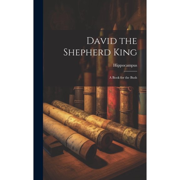 David the Shepherd King : A Book for the Bush (Hardcover)