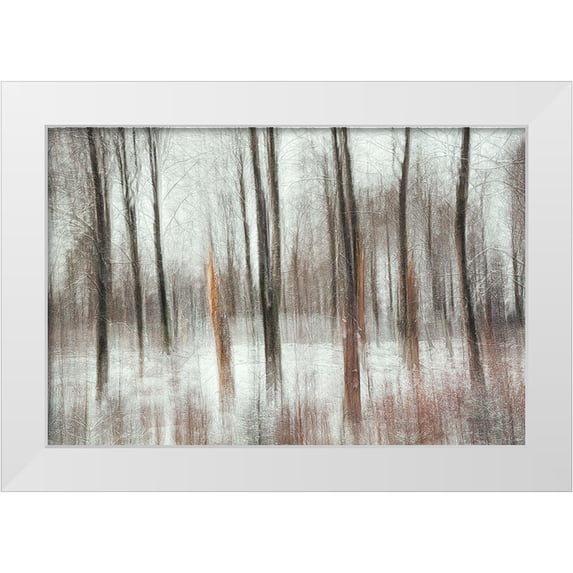 Davidsson, Gustav 18x13 White Modern Wood Framed Museum Art Print Titled - Cold