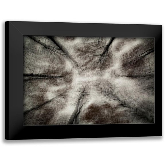 Davidsson, Gustav 24x17 Black Modern Framed Museum Art Print Titled - The First Autumn Storm