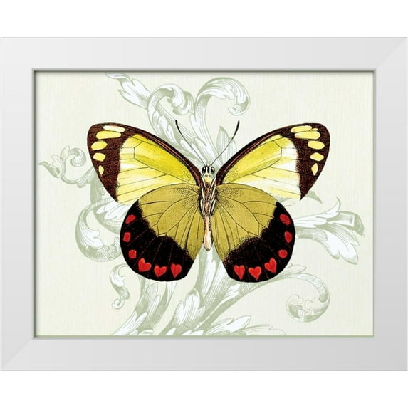 Davies, Susan 14x12 White Modern Wood Framed Museum Art Print Titled - Butterfly Theme II