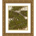 thumbnail image 1 of Davis, Andrea 20x24 Gold Ornate Wood Framed with Double Matting Museum Art Print Titled - Batik Frond I, 1 of 4