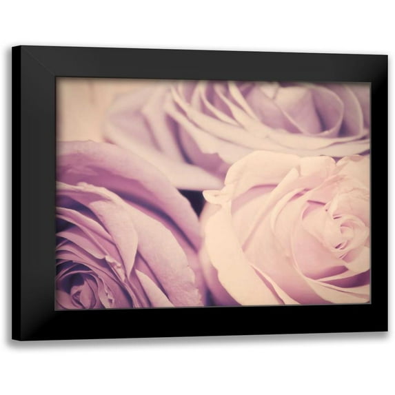 Davis Ashley 14x12 Black Modern Framed Museum Art Print Titled - Purple vintage roses