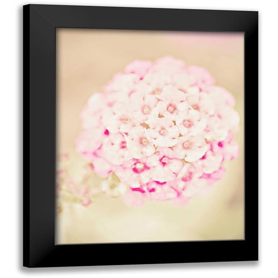 Davis Ashley 20x24 Black Modern Framed Museum Art Print Titled - Pink Flower Ball
