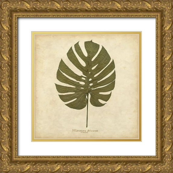 Davis, Becky 26x26 Gold Ornate Wood Framed with Double Matting Museum Art Print Titled - Windowleaf