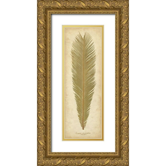Davis, Becky 7x14 Gold Ornate Wood Framed with Double Matting Museum Art Print Titled - Sago Palm I