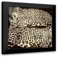 thumbnail image 1 of Davison, Darren 12x12 Black Modern Framed Museum Art Print Titled - Leopards, 1 of 5