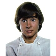 Davy Jones In The Monkees Eye Popping 60s Fashion 24X36 Classic Hollywood Poster
