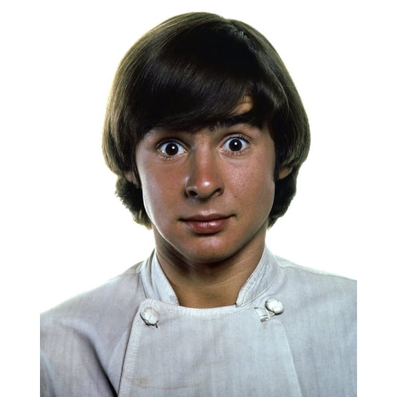 Davy Jones In The Monkees Eye Popping 60's Fashion 24X36 Classic Hollywood Poster