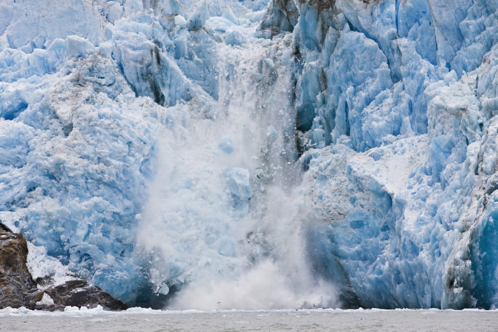Dawes Glacier Calves Into The Endicott Arm Fjord Of Tracy Arm In Fords Terror Wilderness Southeast Alaska During Summer Canvas Art - Ray Bulson  Design Pics (19 x 12)