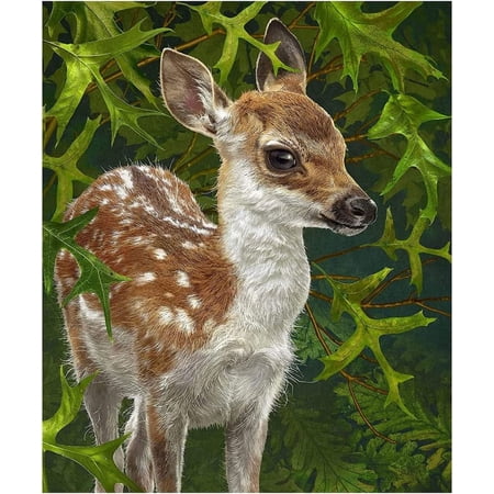 Dawhud Direct Fleece Throw Blanket - Super Soft Plush Deer Blanket Throw