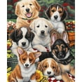 thumbnail image 1 of Dawhud Direct Garden Puppies Super Soft Plush Fleece Throw Blanket by Jenny, Garden Puppies, 50" x 60", Machine Washable, 1 of 5