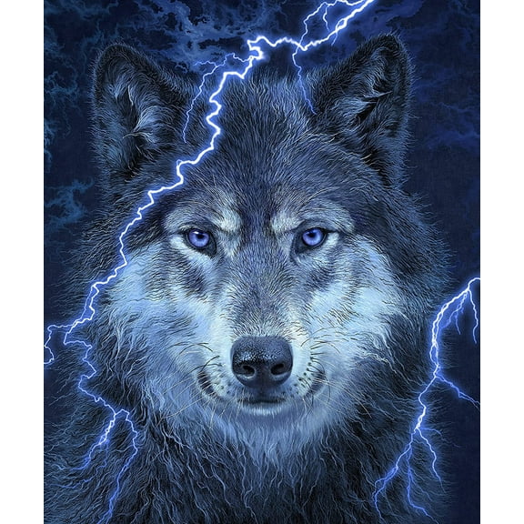 Dawhud Direct Thunder Wolf Super Soft Plush Fleece Throw Blanket