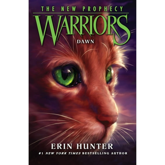 Pre-Owned Dawn (Paperback) 0007419244 9780007419241