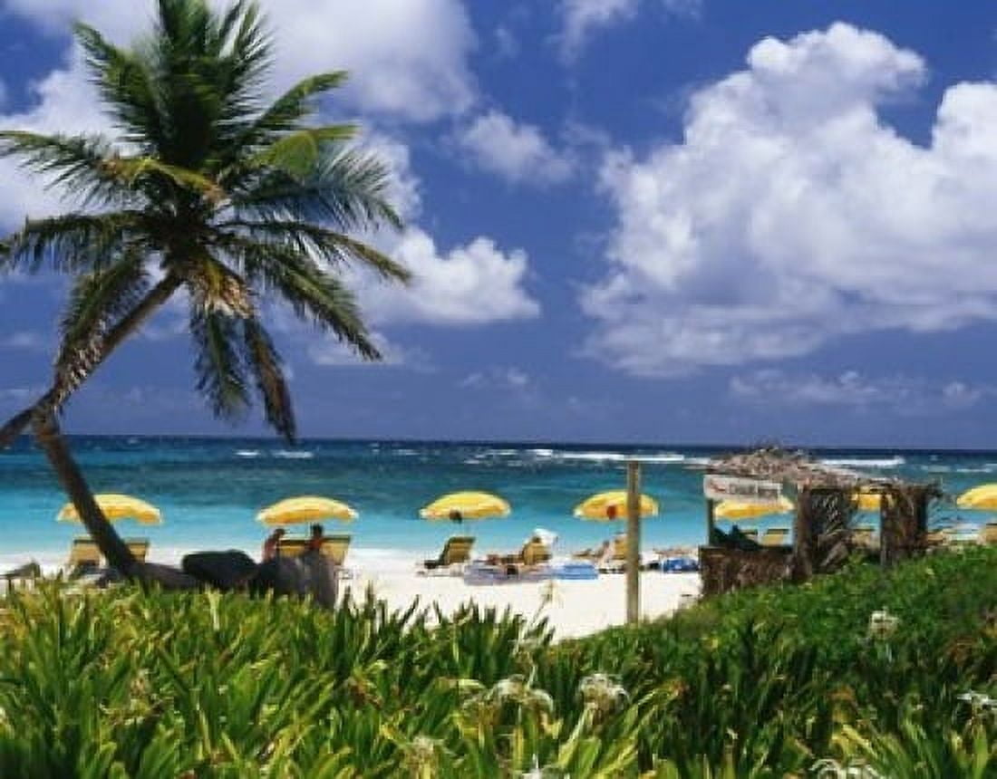 Dawn Beach on St Martin Caribbean Canvas Art - Greg Johnston DanitaDelimont (24 x 18)