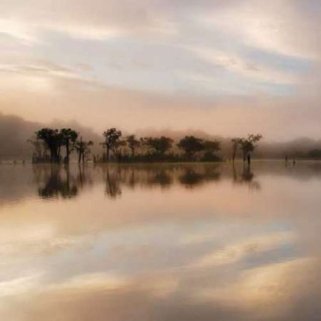 Dawn Mist on the Amazon Canvas Art - Andy Mumford (24 x 24)