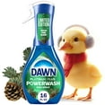 thumbnail image 1 of Dawn Powerwash Spray, Dish Soap, Fresh Pine, Christmas Tree Scent, 1 Starter Kit, 16 fl oz, 1 of 13