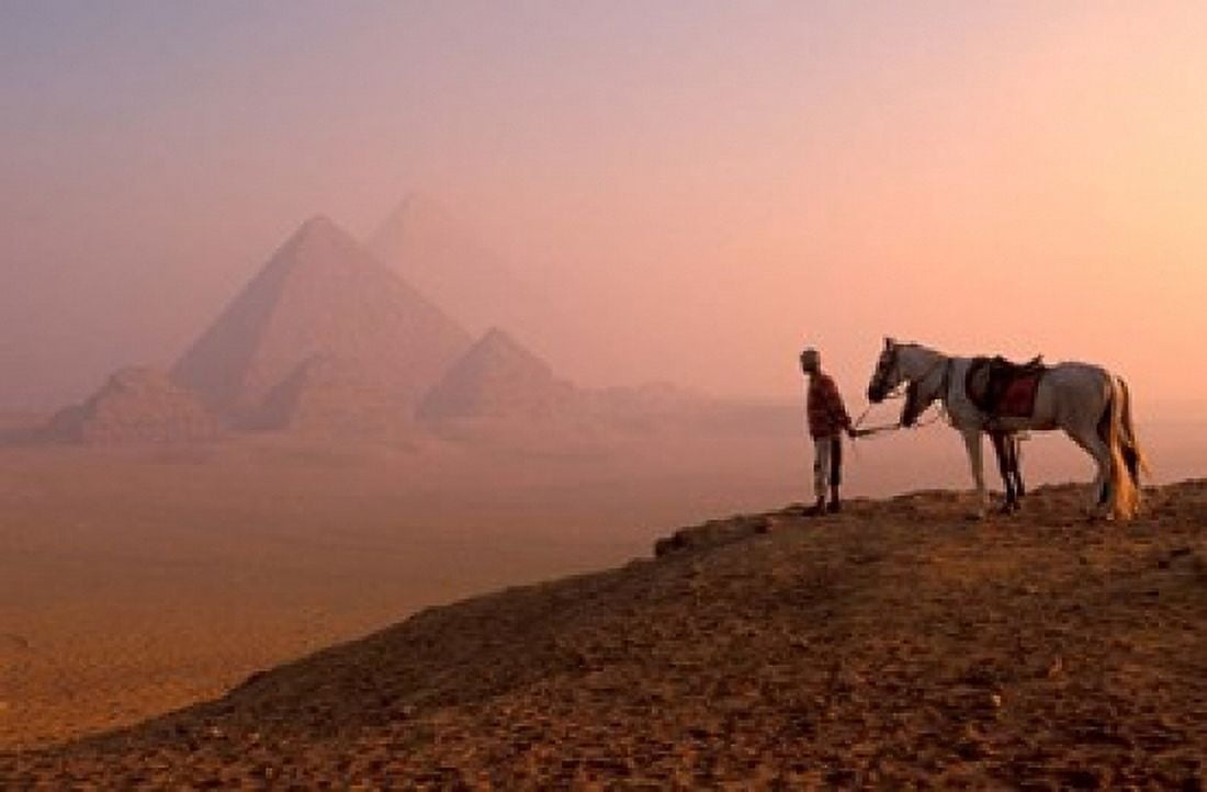 Dawn View of Guide and Horses at the Giza Pyramids Cairo Egypt Canvas Art - Walter Bibikow DanitaDelimont (35 x 23)