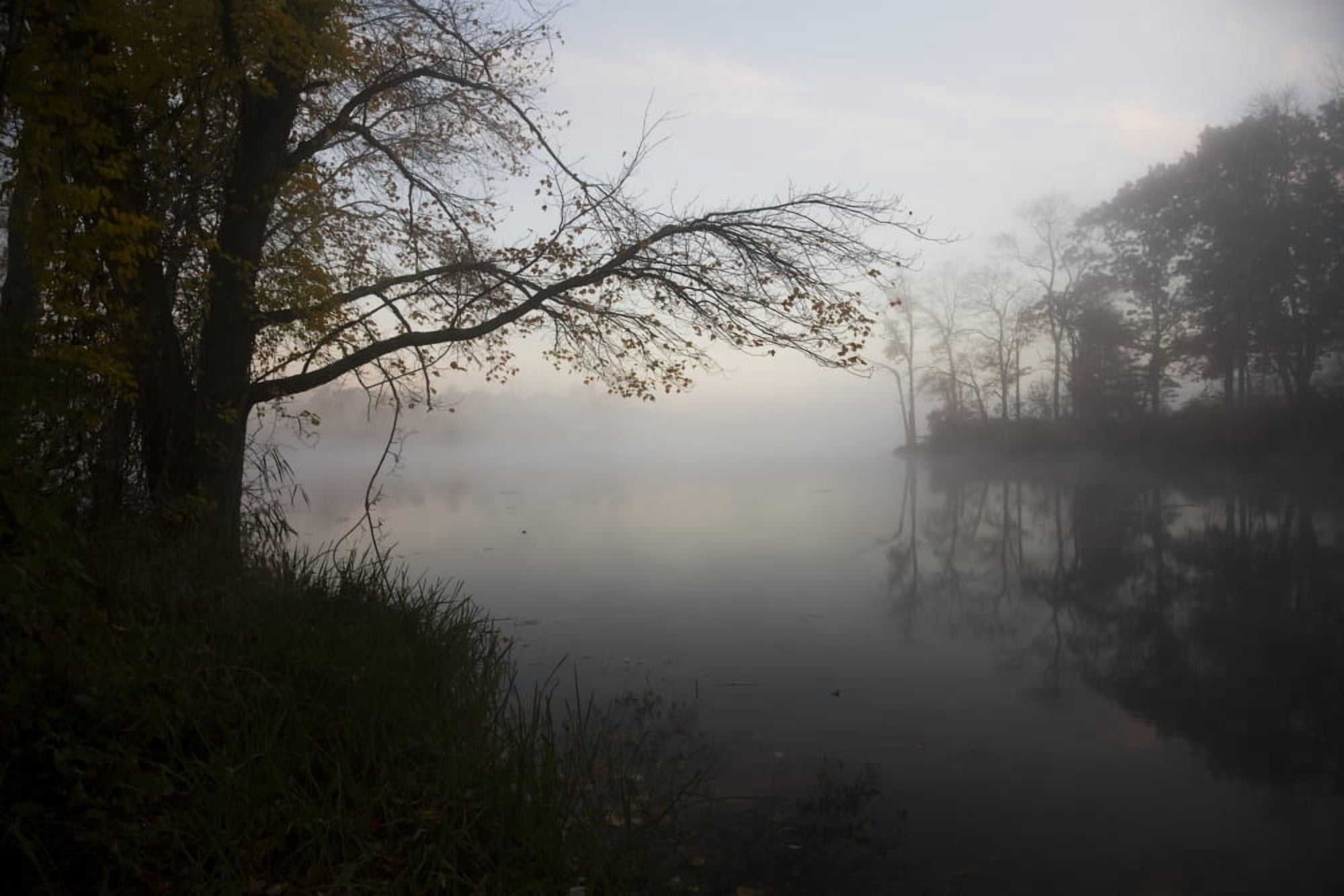 Dawn at pond in autumn Salem Connecticut United States of America Canvas Art - Lynn Stone Design Pics (38 x 24)
