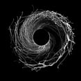 thumbnail image 1 of Dawn of Midi - Dysnomia - Jazz - Vinyl, 1 of 1