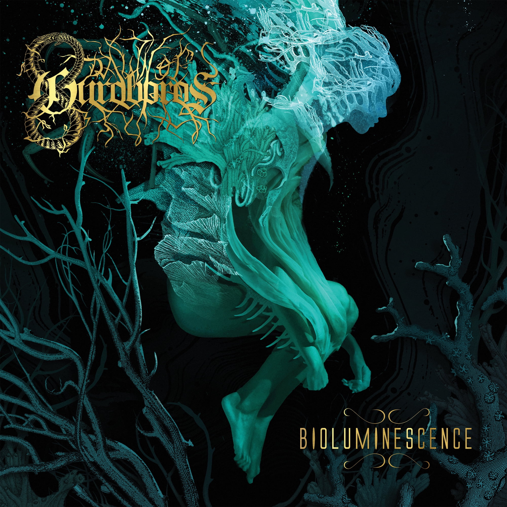 Dawn of Ouroboros - Bioluminescence - Music & Performance - CD