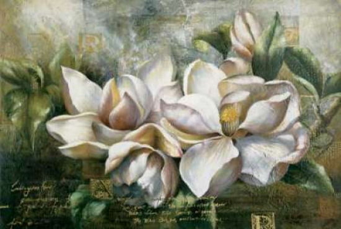 Dawning Magnolias Canvas Art - Meng (20 x 28)