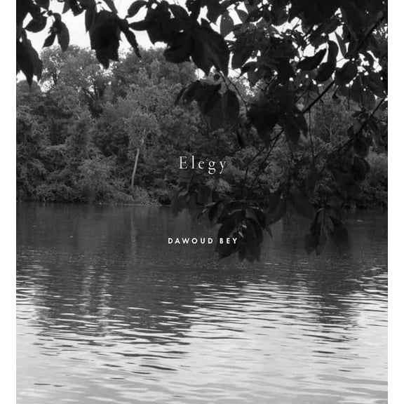 Dawoud Bey: Elegy, (Hardcover)