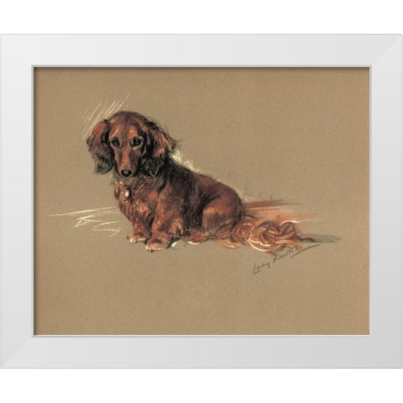 Dawson, Lucy 14x12 White Modern Wood Framed Museum Art Print Titled - Daschund, Robin