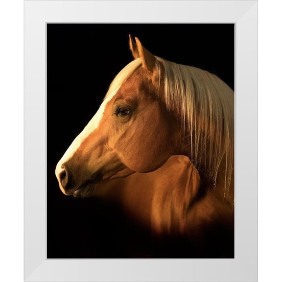 Dawson, Robert 12x14 White Modern Wood Framed Museum Art Print Titled - Yellow Jersey