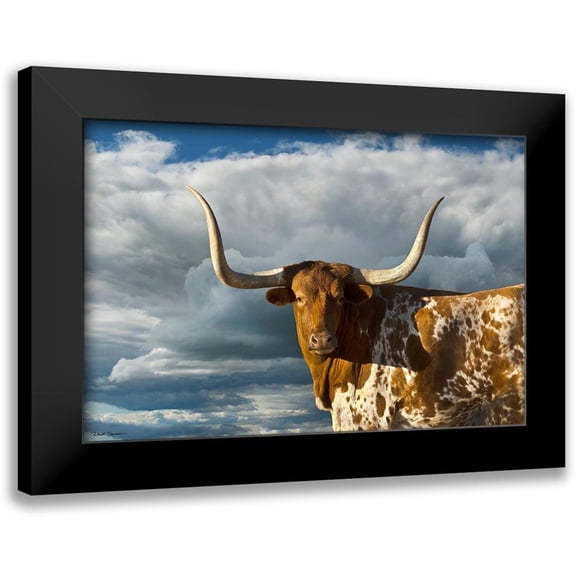 Dawson, Robert 14x11 Black Modern Framed Museum Art Print Titled - Texas Longhorn ~ Color