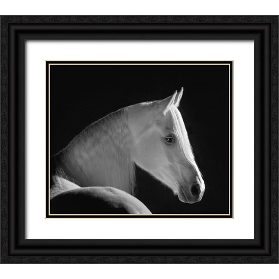 Dawson, Robert 14x12 Black Ornate Wood Framed with Double Matting Museum Art Print Titled - White Shadow
