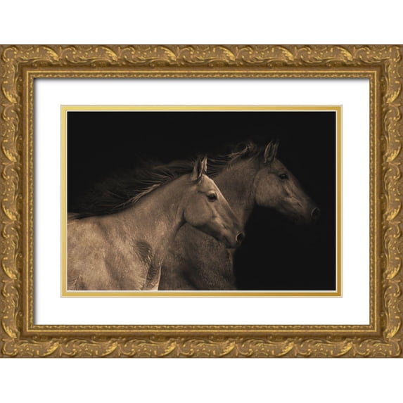 Dawson, Robert 18x13 Gold Ornate Wood Framed with Double Matting Museum Art Print Titled - Young Mustangs