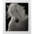 thumbnail image 1 of Dawson, Robert 20x24 White Modern Wood Framed Museum Art Print Titled - The Lusitano Dancer, 1 of 4