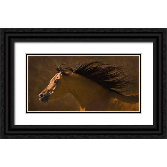 Dawson, Robert 24x14 Black Ornate Wood Framed with Double Matting Museum Art Print Titled - Arabian Runner