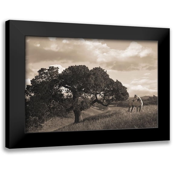 Dawson, Robert 24x17 Black Modern Framed Museum Art Print Titled - California Evening