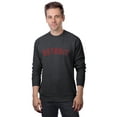 thumbnail image 1 of Daxton Detroit Sweatshirt Athletic Fit Pullover Crewneck French Terry Fabric, HthCharcoal Sweatshirt Red Letters, XS, 1 of 3