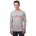 thumbnail image 1 of Daxton Florida Sweatshirt Athletic Fit Pullover Crewneck French Terry Fabric, Hth Grey Sweatshirt Red Letters, S, 1 of 3