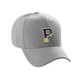 thumbnail image 1 of Daxton Two Tone Initial Letters Numbers Structured Baseball Hat, Light Gray Hat, Letter P, 1 of 3