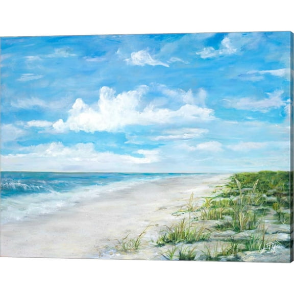Day At The Beach by Julie DeRice, Canvas Wall Art, 20W x 16H