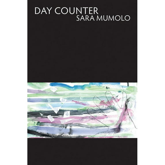 Day Counter (Paperback)