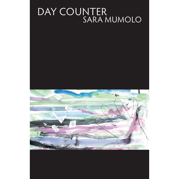Day Counter (Paperback)
