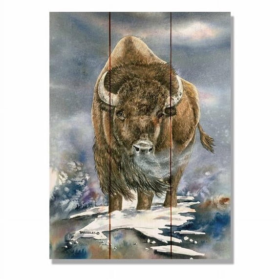 Day Dream 11 x 15 in. Bartholets American Buffalo Wall Art