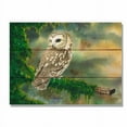 thumbnail image 1 of Day Dream DBSW1511 15 x 11 in. Bartholets Saw Whet Wall Art, 1 of 2