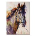 thumbnail image 1 of Day Dream DCBS1420 14 x 20 in. Black Stallion Wall Art, 1 of 3