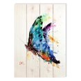 thumbnail image 1 of Day Dream DCTB1420 14 x 20 in. The Butterfly Wall Art, 1 of 1