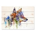 thumbnail image 1 of Day Dream DCTCY2014 20 x 14 in. The Coyote Wall Art, 1 of 1