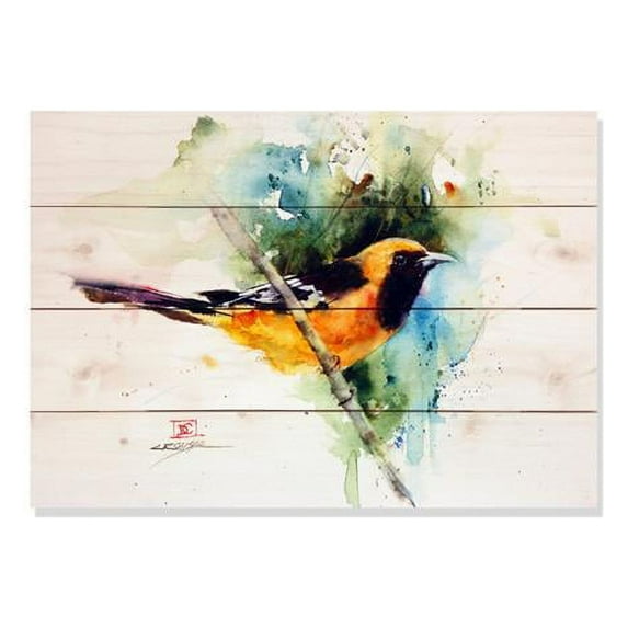 Day Dream DCTO2014 20 x 14 in. The Oriole Wall Art