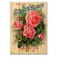 thumbnail image 1 of Day Dream HQ  14 x 20 in. Scotts Roses Wall Art, 1 of 1