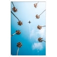 thumbnail image 1 of Day Dreaming Wall Poster, 14.725" x 22.375", Framed, 1 of 3