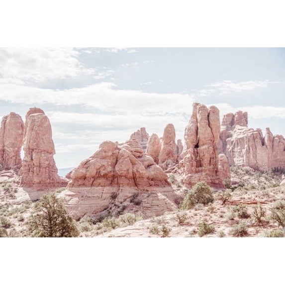 Day Hike II by Elizabeth Urquhart Poster Print